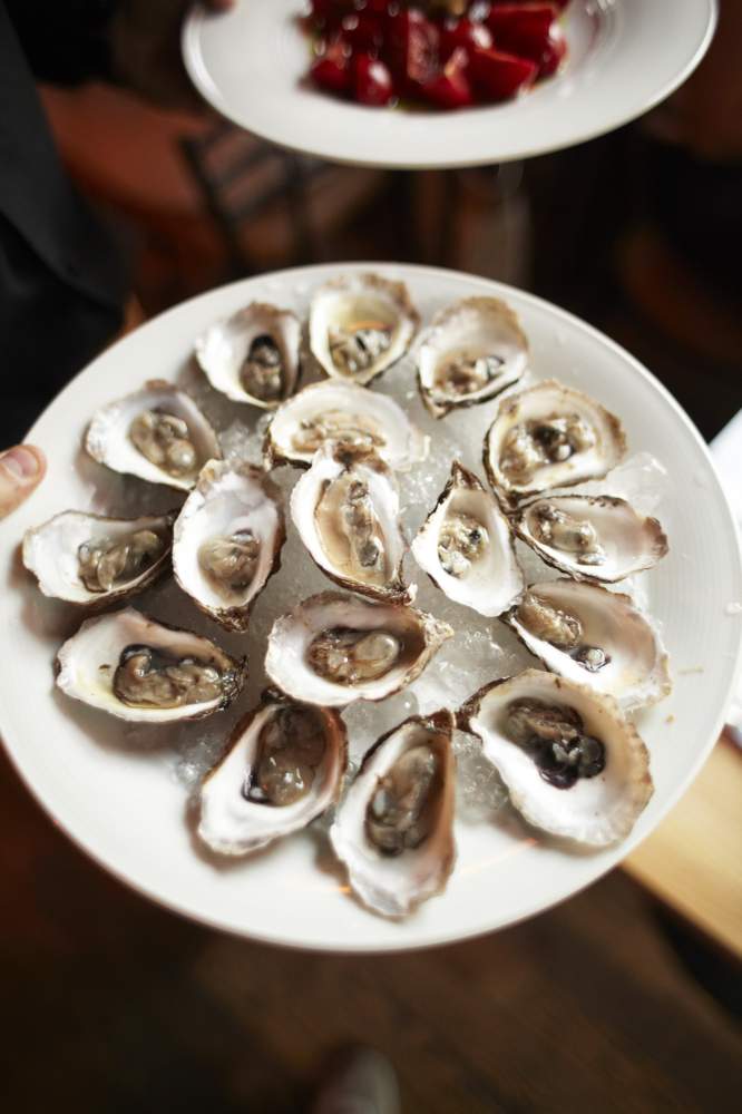 Prince Edward Island Oysters